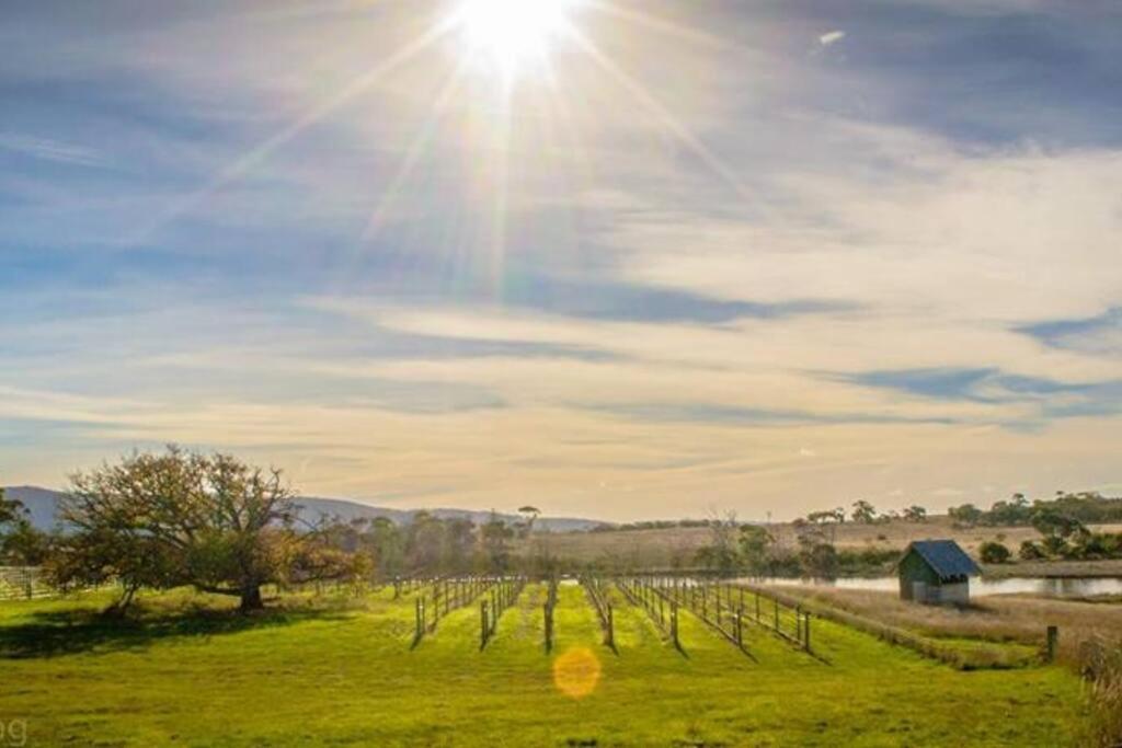 *Newly Relisted* Coach House At Lisdillon Vineyard Villa Little Swanport Kültér fotó
