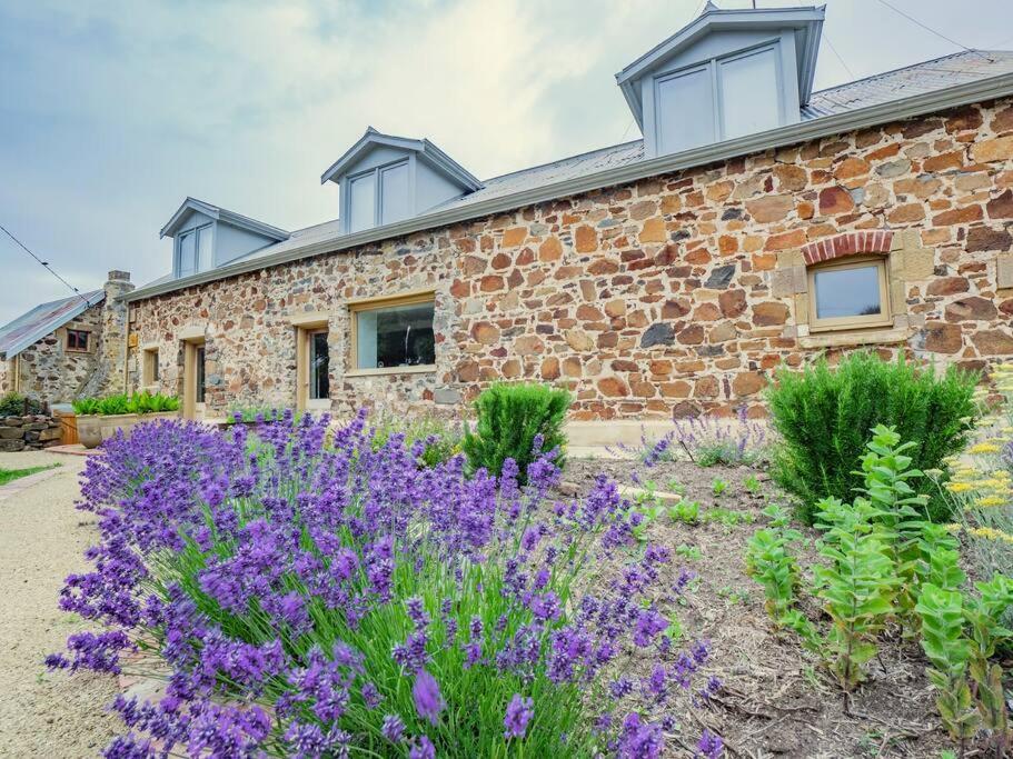 *Newly Relisted* Coach House At Lisdillon Vineyard Villa Little Swanport Kültér fotó